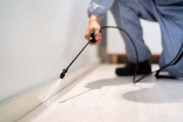Licensed Termite Control service in Dublin, OH - Nex Pest Control
