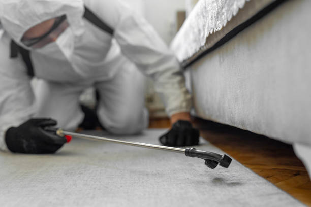 Professional Termite Control technician working in Dublin, OH