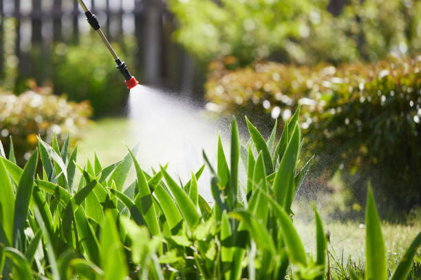24/7 Emergency Termite Control experts in Dublin, OH