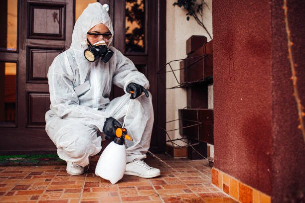 Reliable Termite Control contractor in Dublin, OH by Nex Pest Control