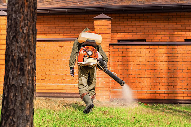 Top rated local Termite Control specialists in Dublin, OH